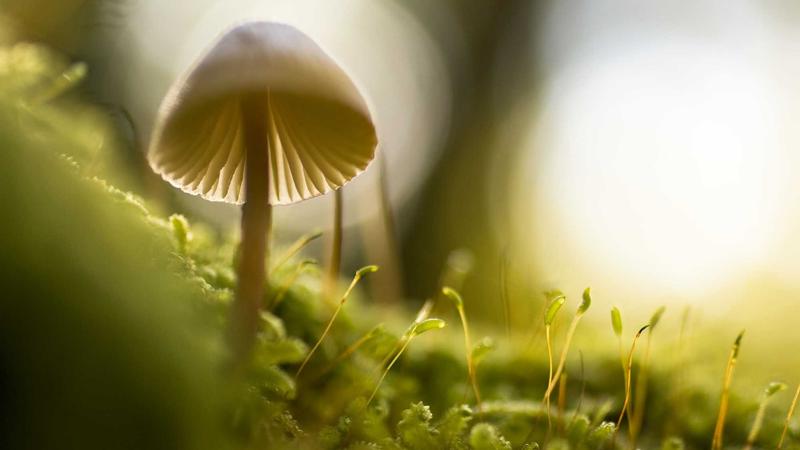 yg电子游戏手机版竞技案例